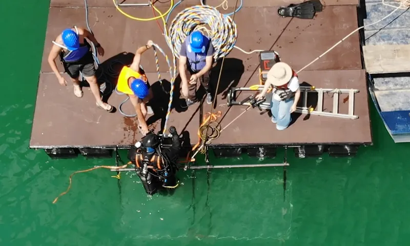 Vedere de sus a echipei cu căști de protecție pe ponton, asistând un scafandru care intră în apă cu furtunul ombilical.